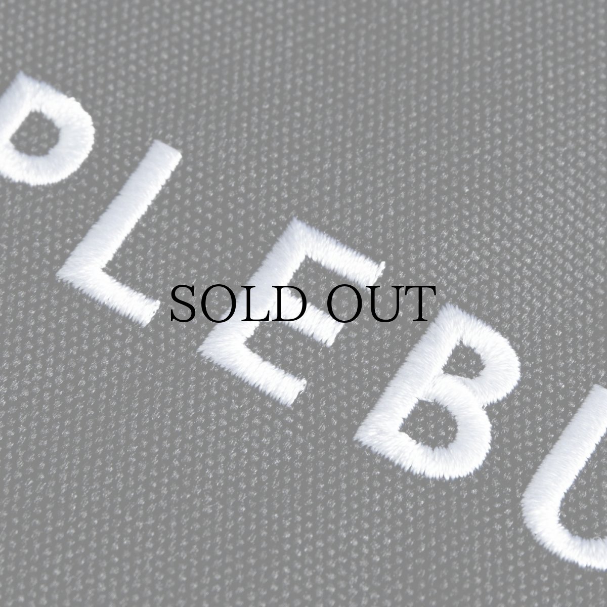 画像3: APPLEBUM(アップルバム) / Logo Pouch (3)