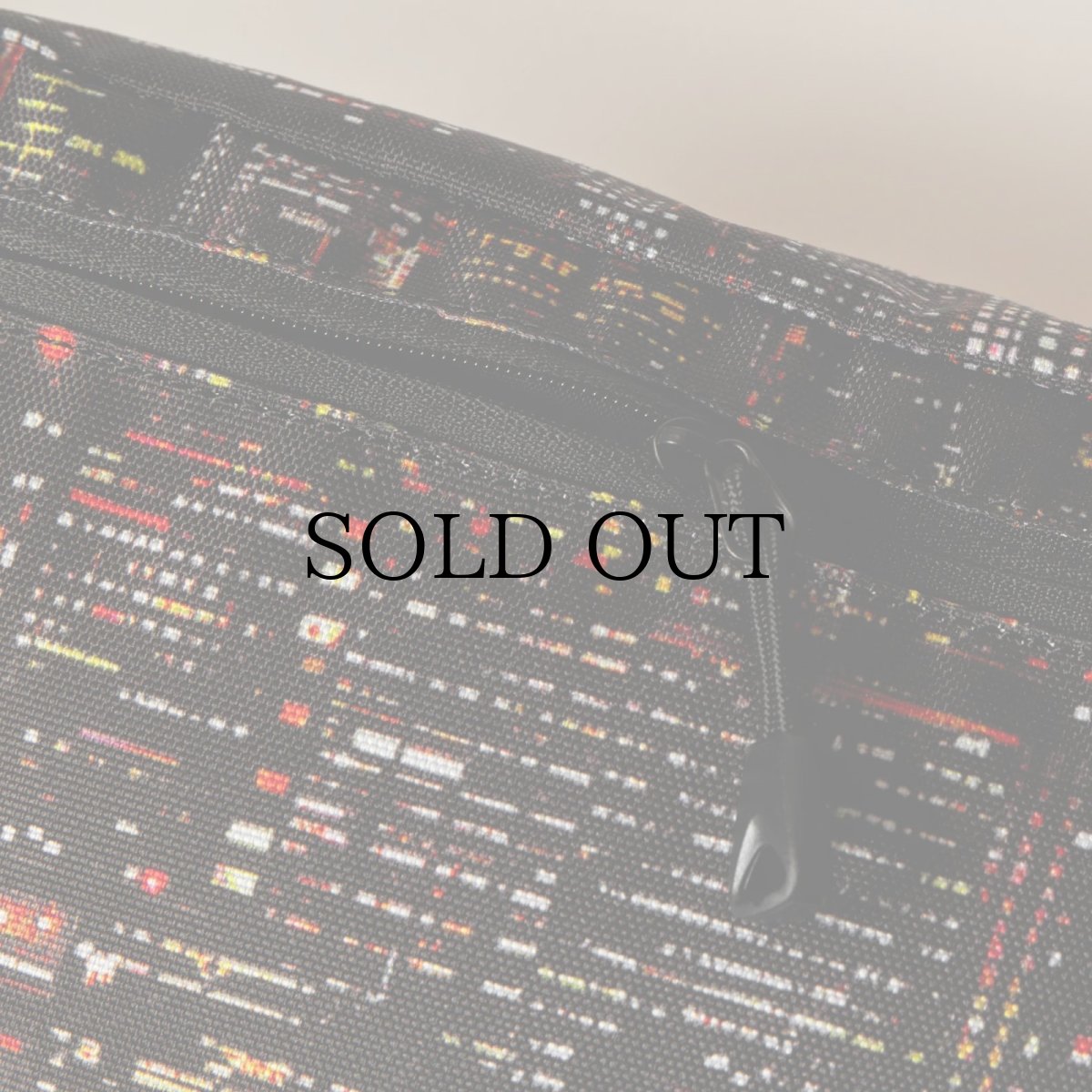 画像3: APPLEBUM(アップルバム) / “Babylon View2” Waist Bag (3)