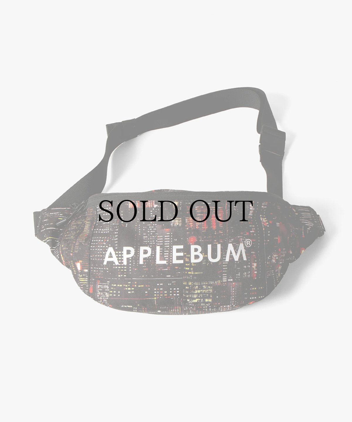 画像1: APPLEBUM(アップルバム) / “Babylon View2” Waist Bag (1)