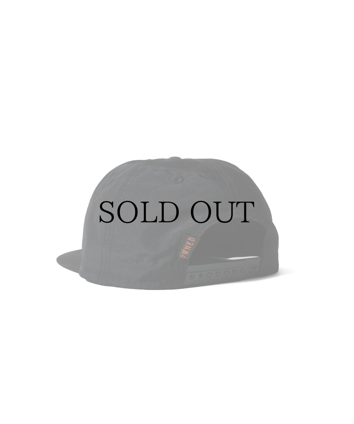 画像8: PWNED(パウンド) / SPREAD"P" NYLON SNAPBACK (8)