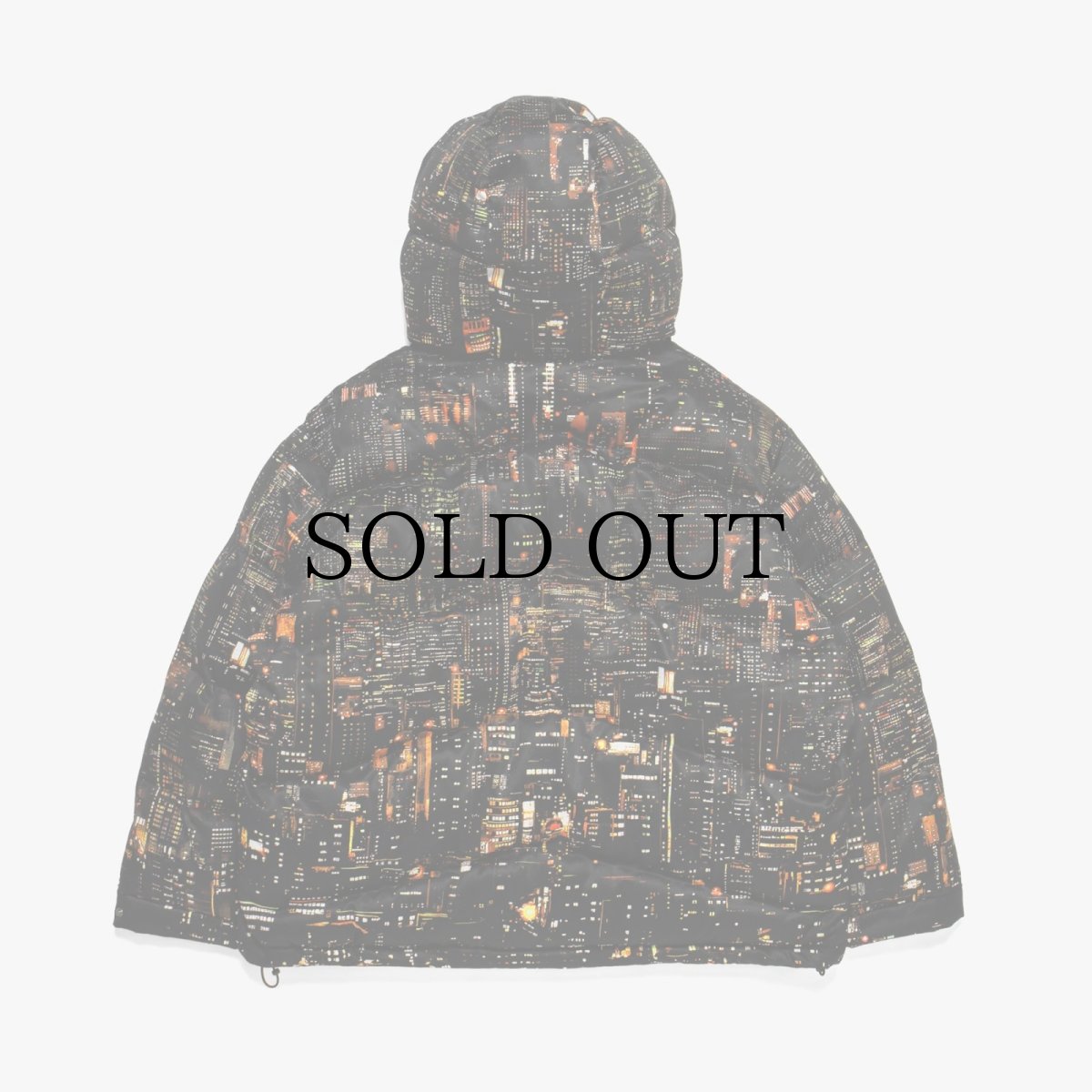 画像2: APPLEBUM(アップルバム) / “Babylon View2” Innercotton Hood Jacket (2)