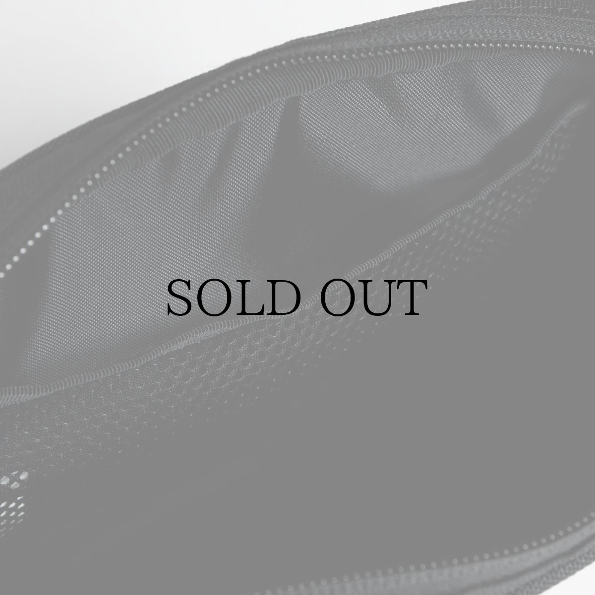 画像6: APPLEBUM(アップルバム) / Logo Pouch (6)