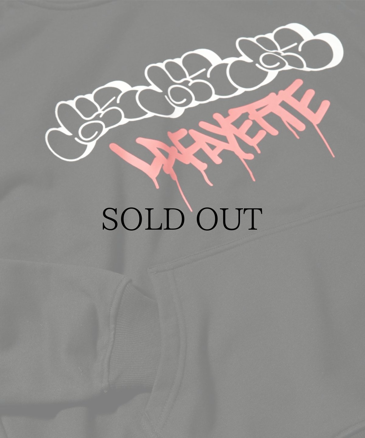 画像4: 【30%OFF】LFYT(ラファイエット) / LFYT x GIZ MTA HOODIE (4)