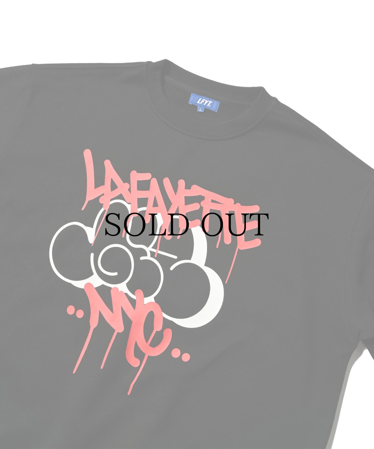 画像3: 【30%OFF】LFYT(ラファイエット) / LFYT x GIZ MTA CREWSWEAT (3)