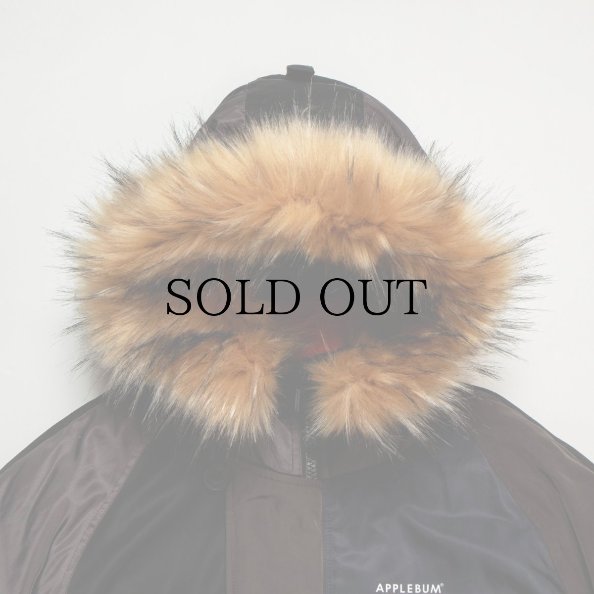 画像3: APPLEBUM(アップルバム) / Multi Color N-3B Jacket (3)