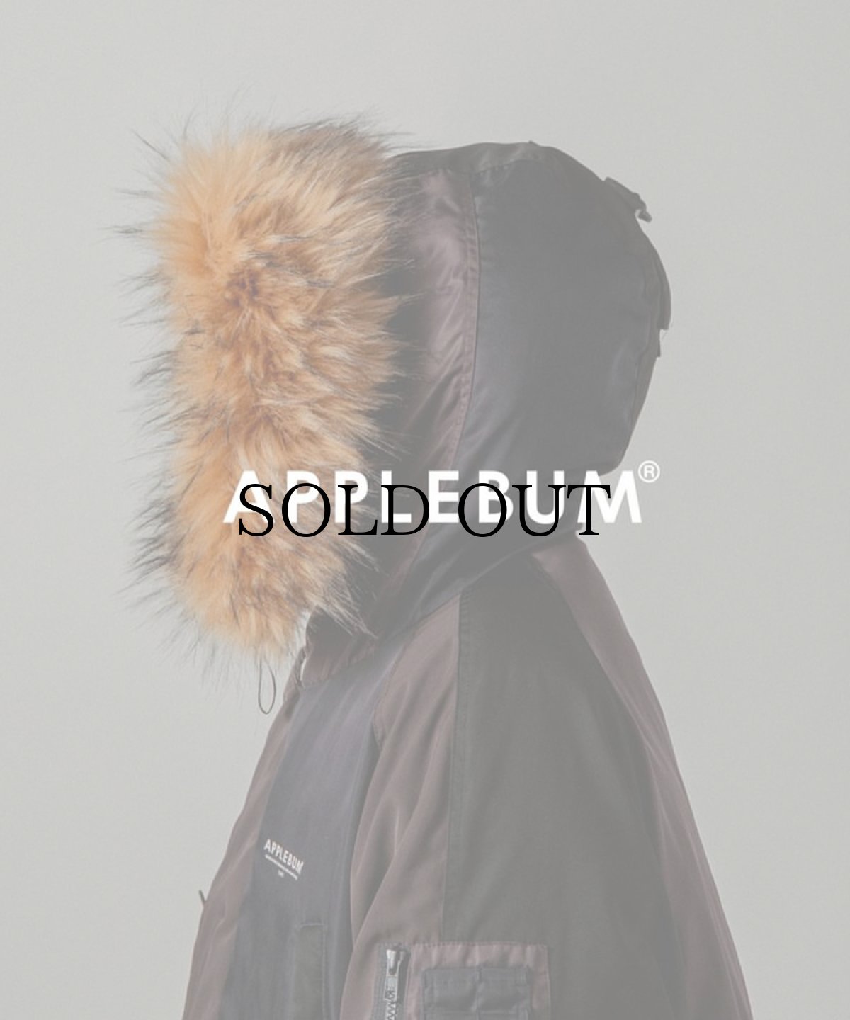 画像12: APPLEBUM(アップルバム) / Multi Color N-3B Jacket (12)