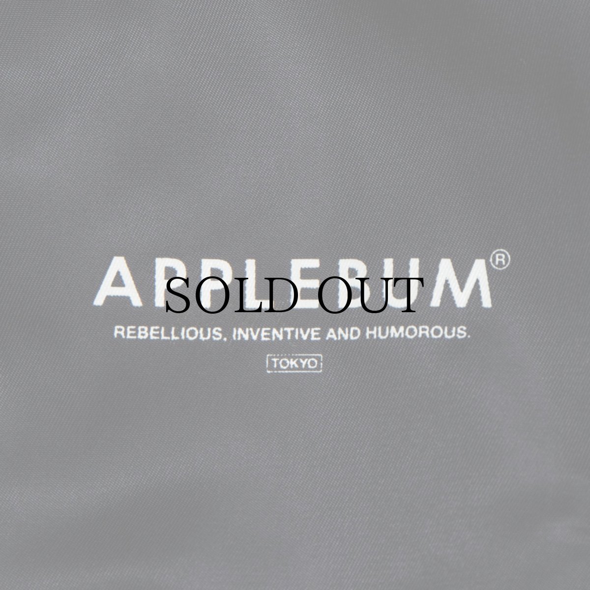 画像5: APPLEBUM(アップルバム) / Multi Color N-3B Jacket (5)