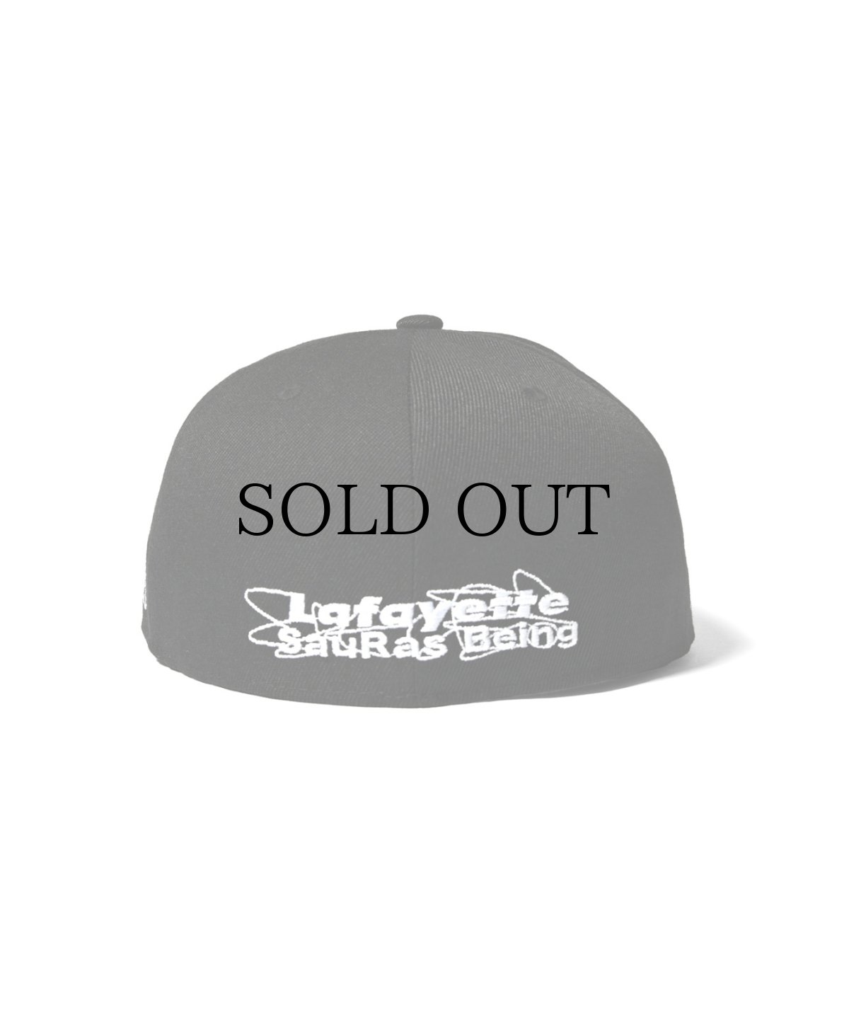 画像6: 【40%OFF】LFYT(ラファイエット) / LFYT x SauRas Being FITTED CAP (6)