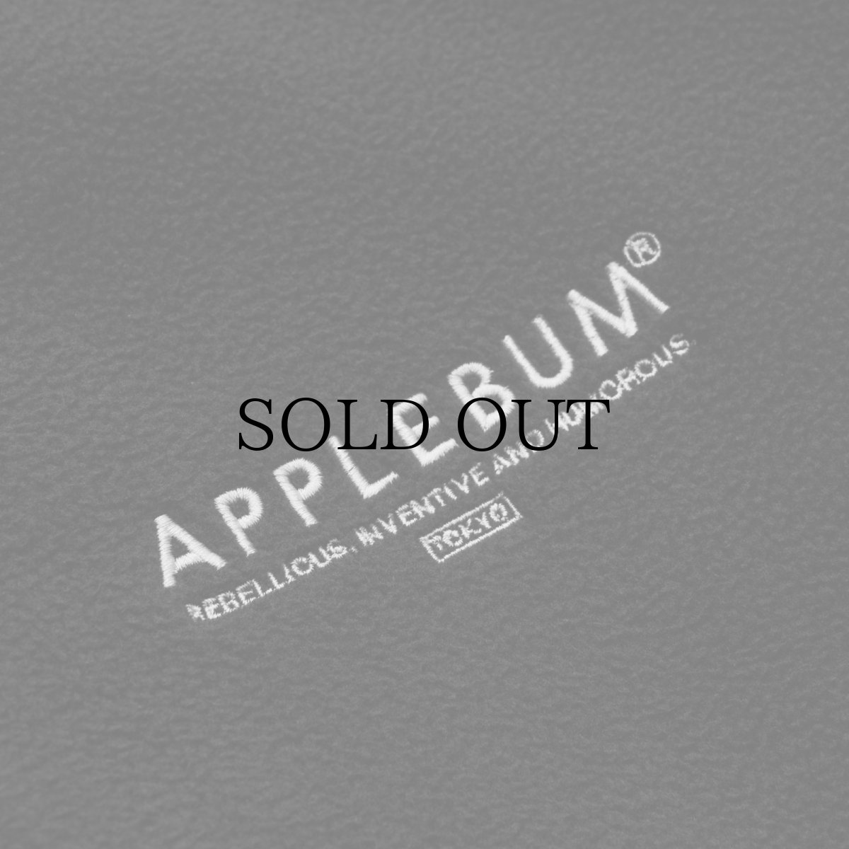 画像16: APPLEBUM(アップルバム) / Phisical Training Fleece Jacket (16)