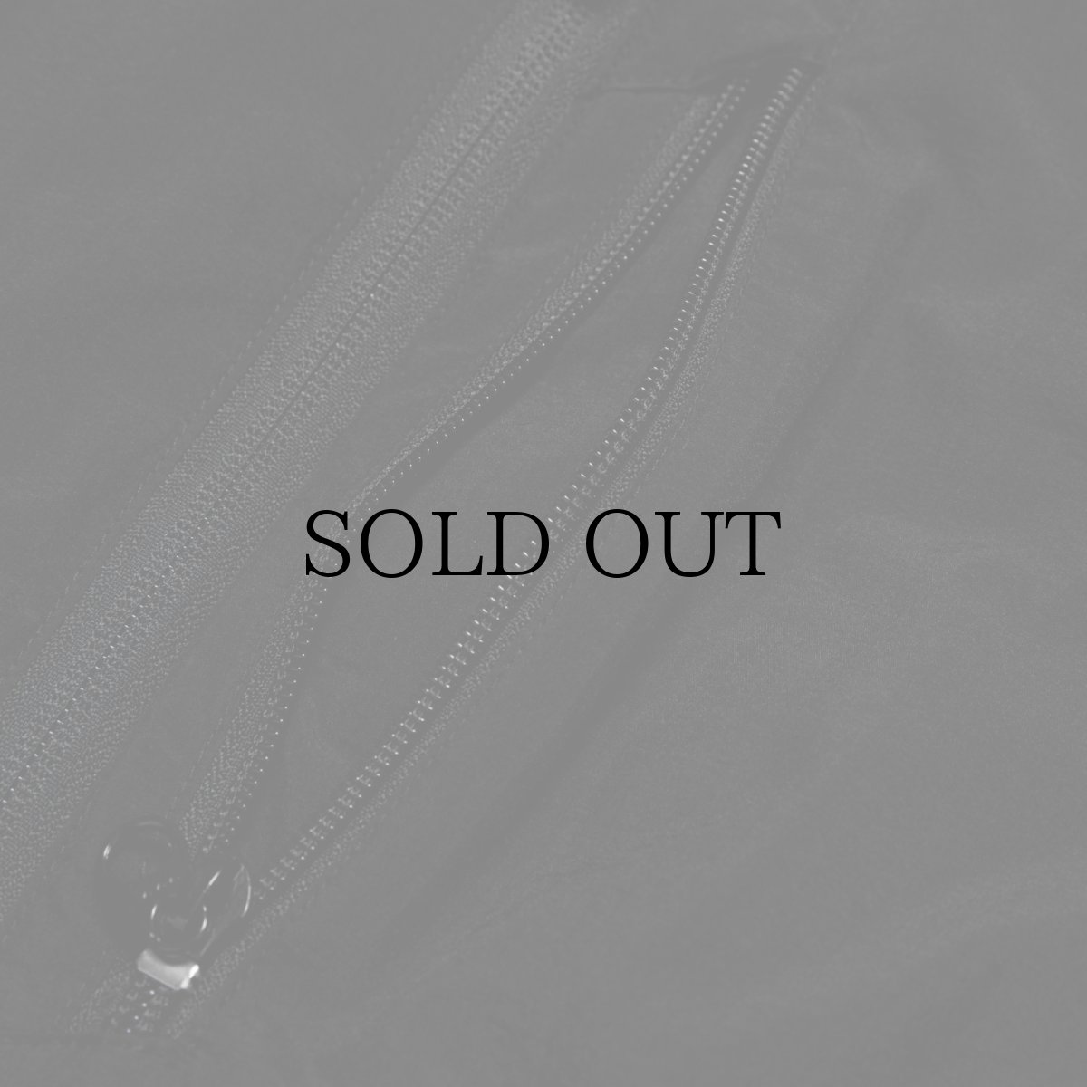 画像6: APPLEBUM(アップルバム) / Light MA-1 Jacket (6)