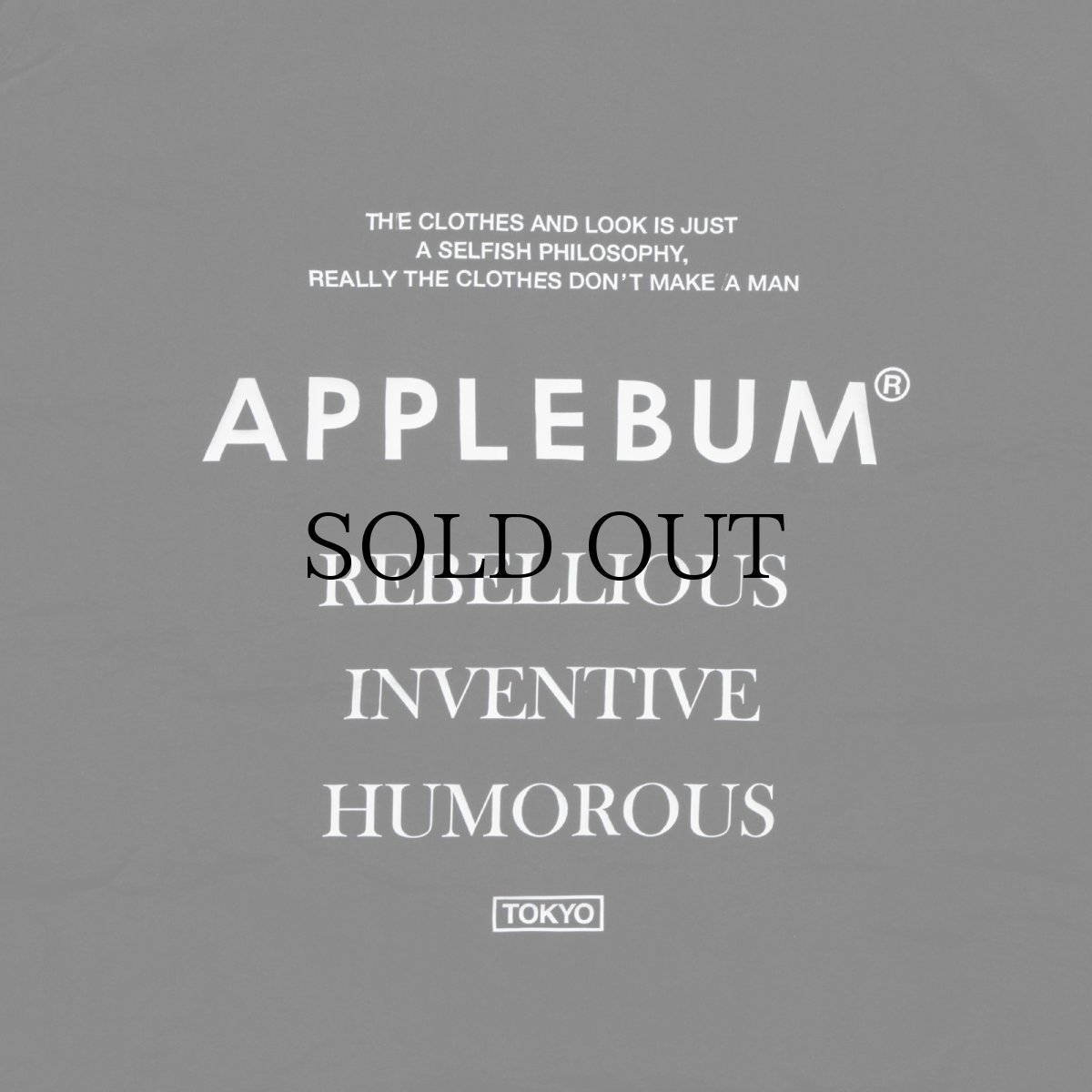 画像10: APPLEBUM(アップルバム) / Light MA-1 Jacket (10)