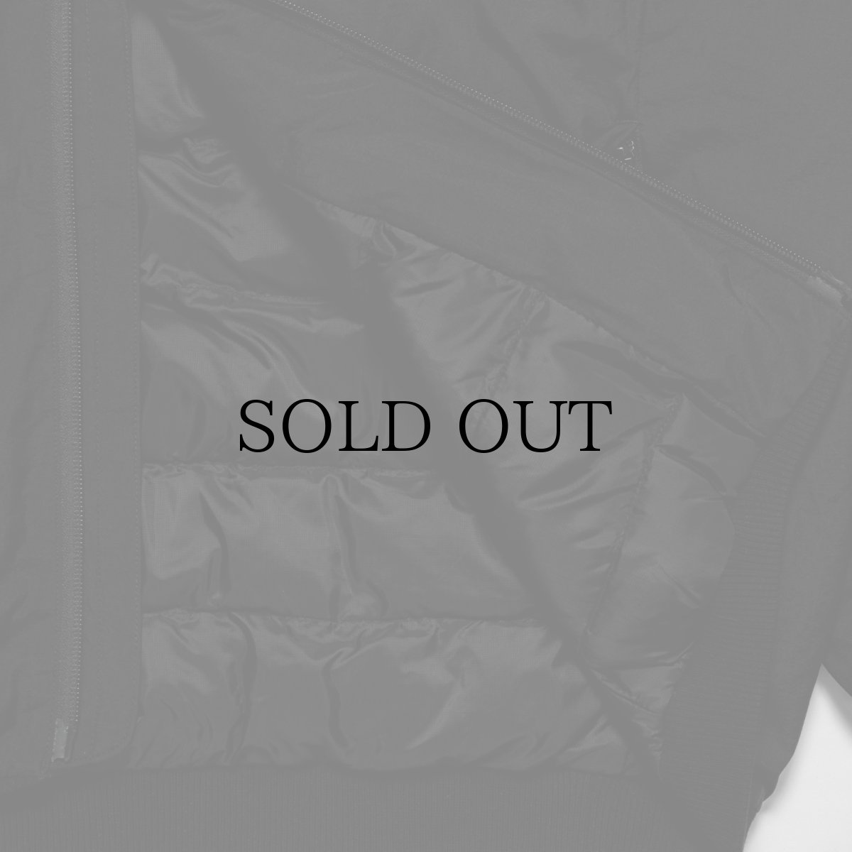 画像9: APPLEBUM(アップルバム) / Light MA-1 Jacket (9)