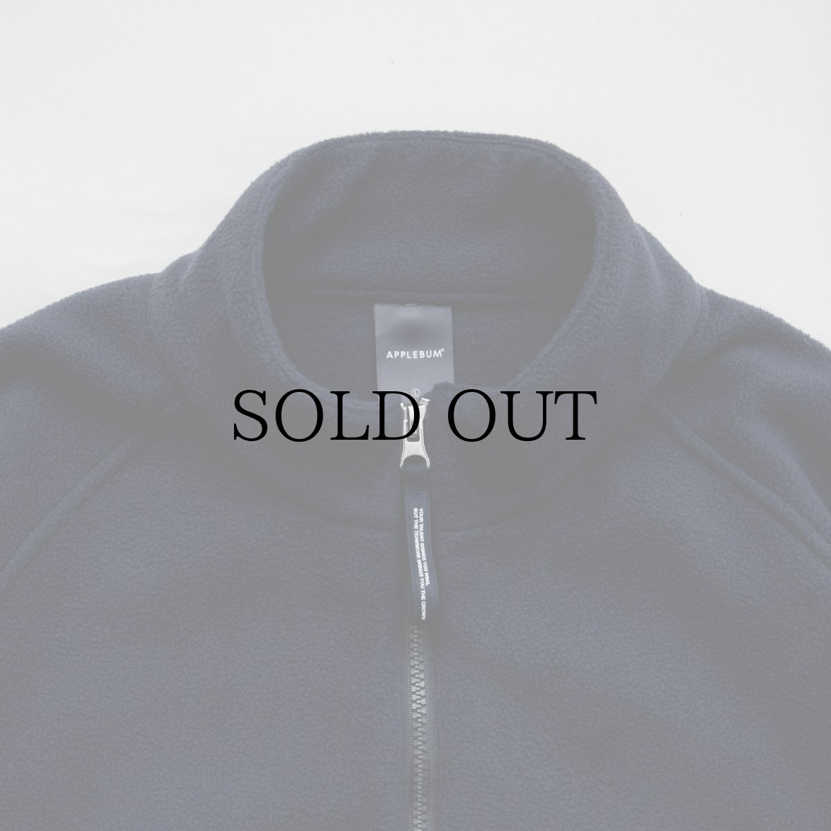 画像9: APPLEBUM(アップルバム) / Phisical Training Fleece Jacket (9)
