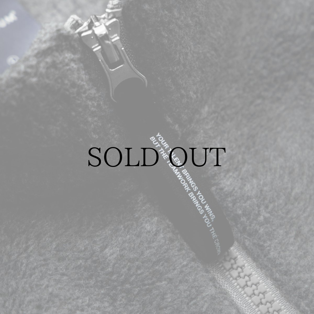 画像11: APPLEBUM(アップルバム) / Phisical Training Fleece Jacket (11)