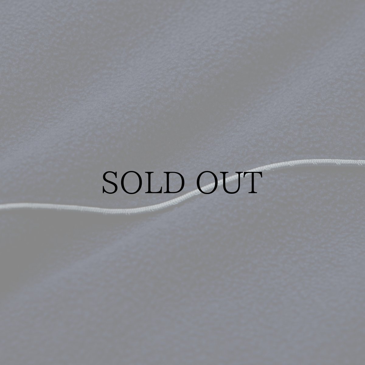 画像24: APPLEBUM(アップルバム) / Phisical Training Fleece Jacket (24)