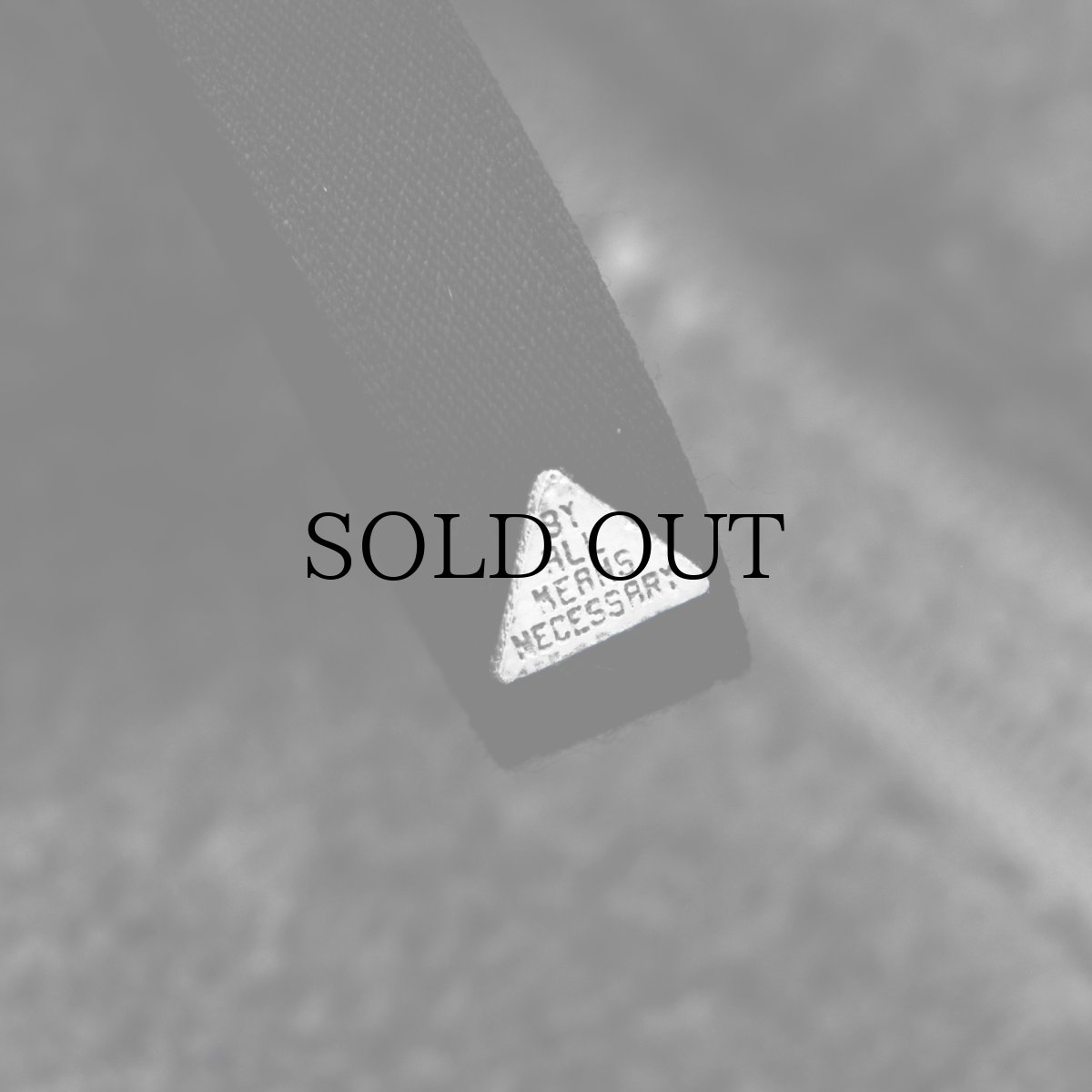 画像14: APPLEBUM(アップルバム) / Phisical Training Fleece Jacket (14)