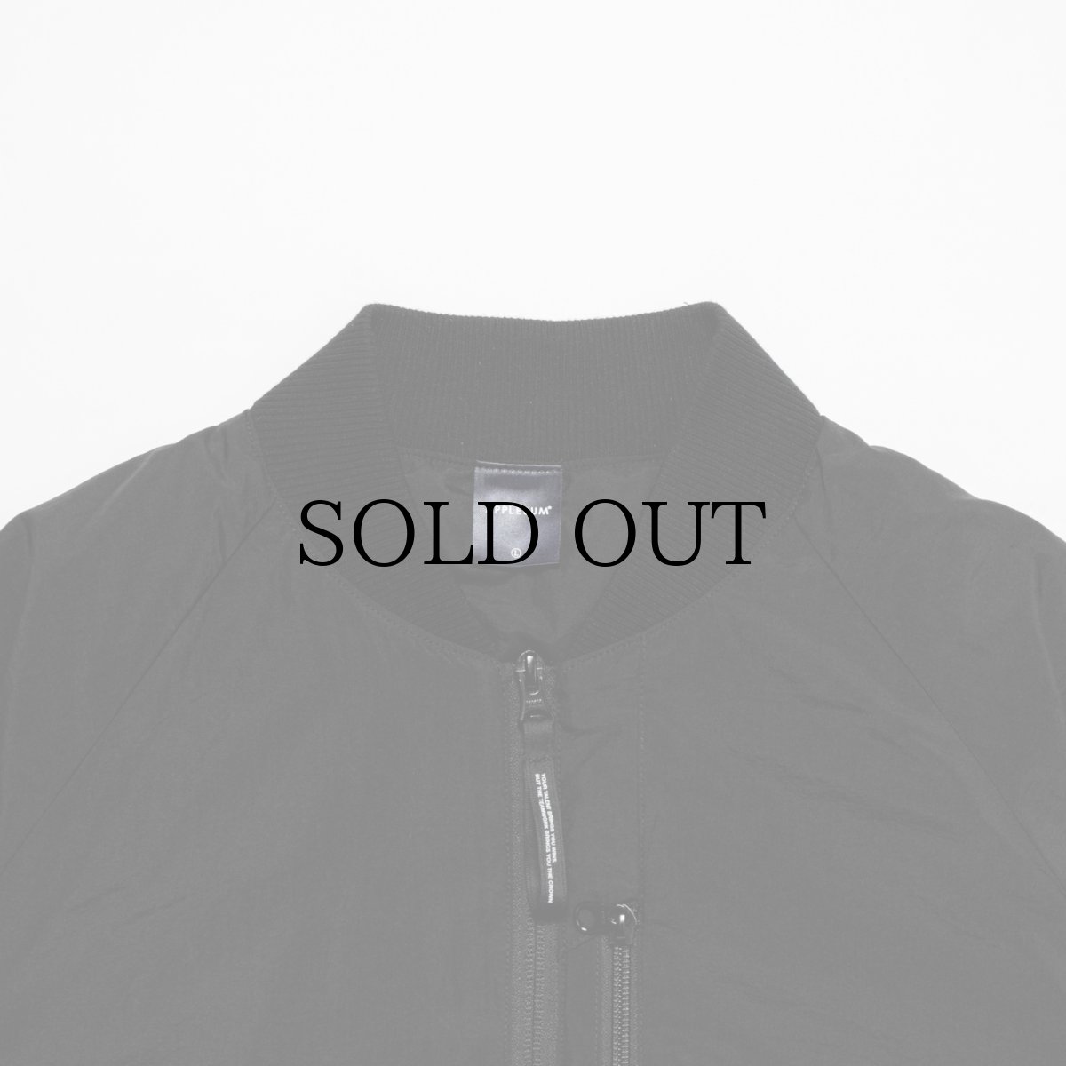 画像4: APPLEBUM(アップルバム) / Light MA-1 Jacket (4)