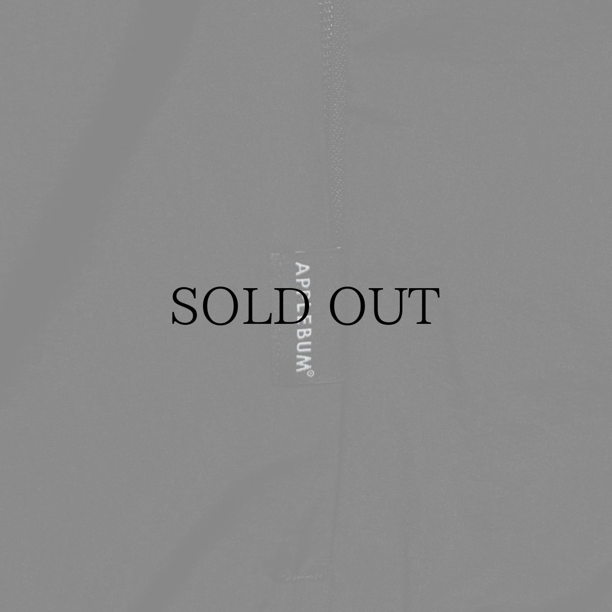 画像8: APPLEBUM(アップルバム) / Light MA-1 Jacket (8)