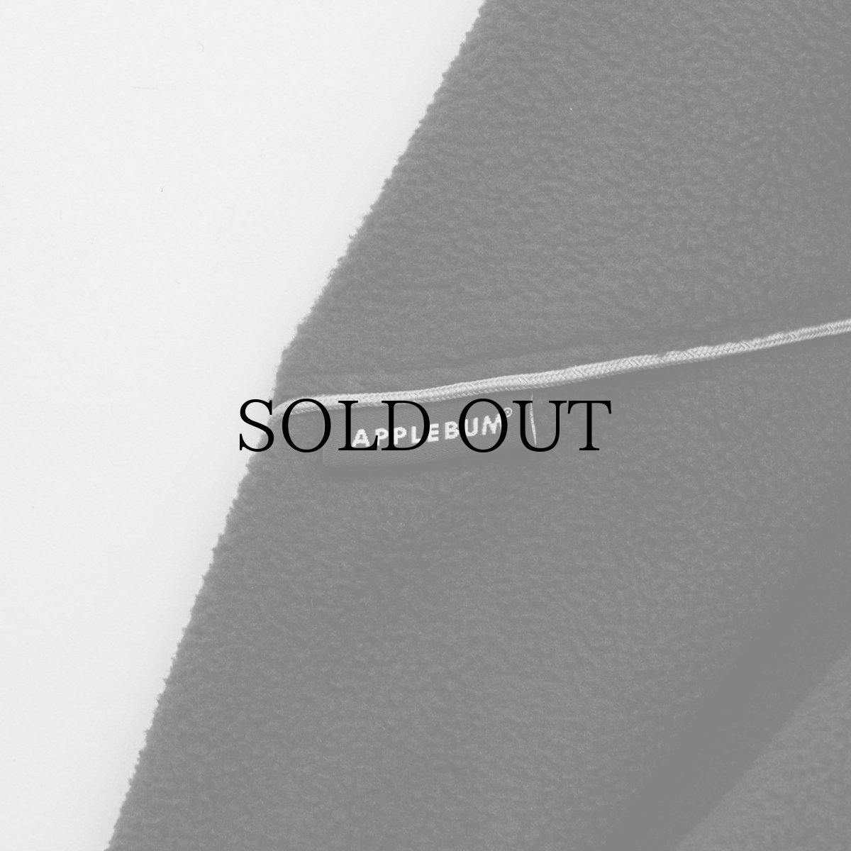 画像19: APPLEBUM(アップルバム) / Phisical Training Fleece Jacket (19)