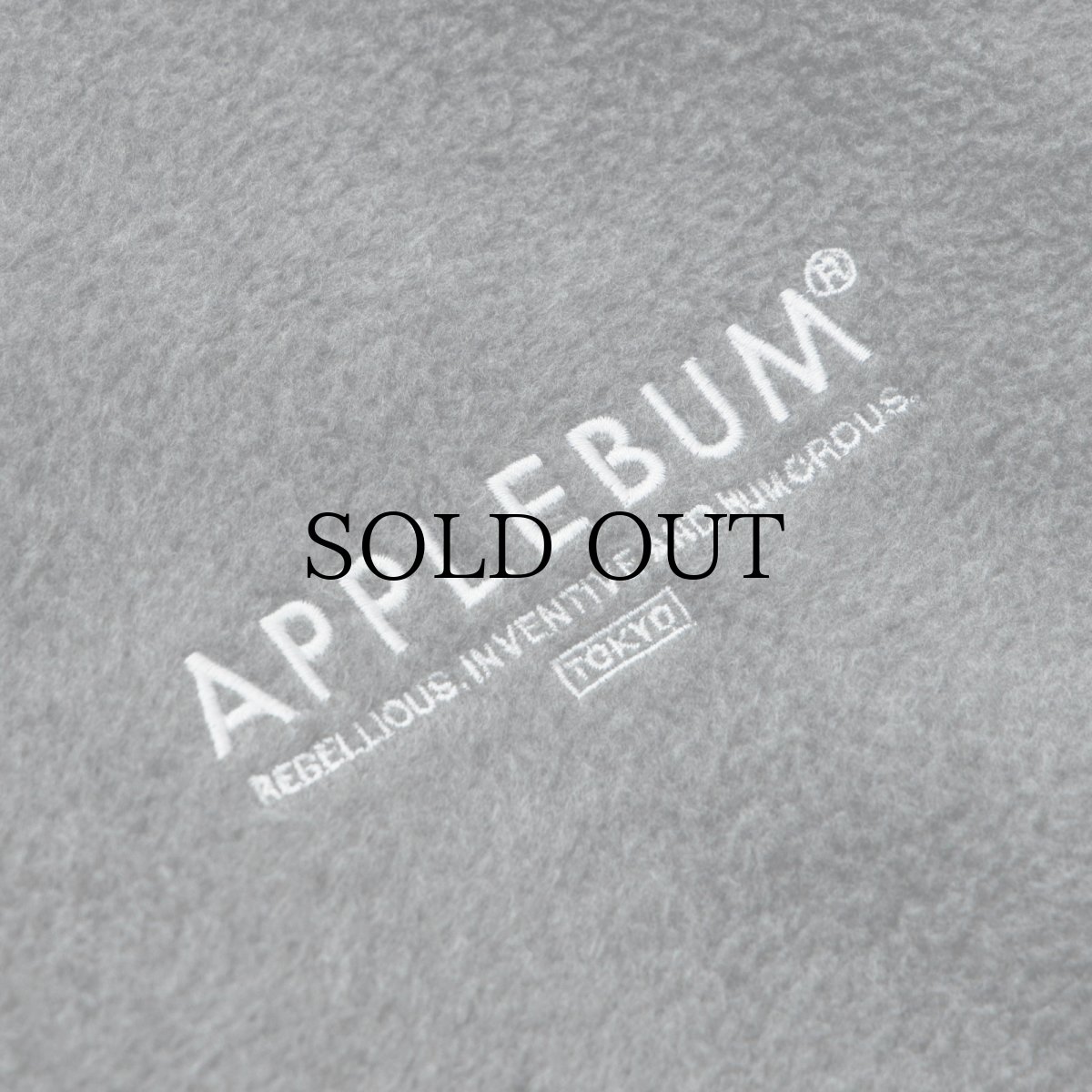 画像17: APPLEBUM(アップルバム) / Phisical Training Fleece Jacket (17)