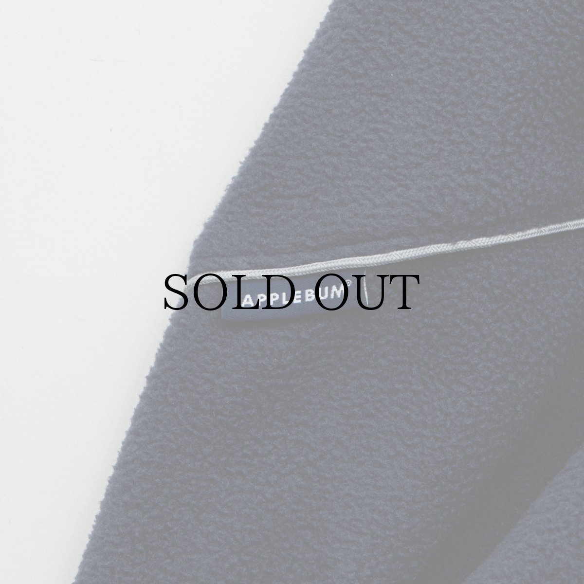 画像21: APPLEBUM(アップルバム) / Phisical Training Fleece Jacket (21)