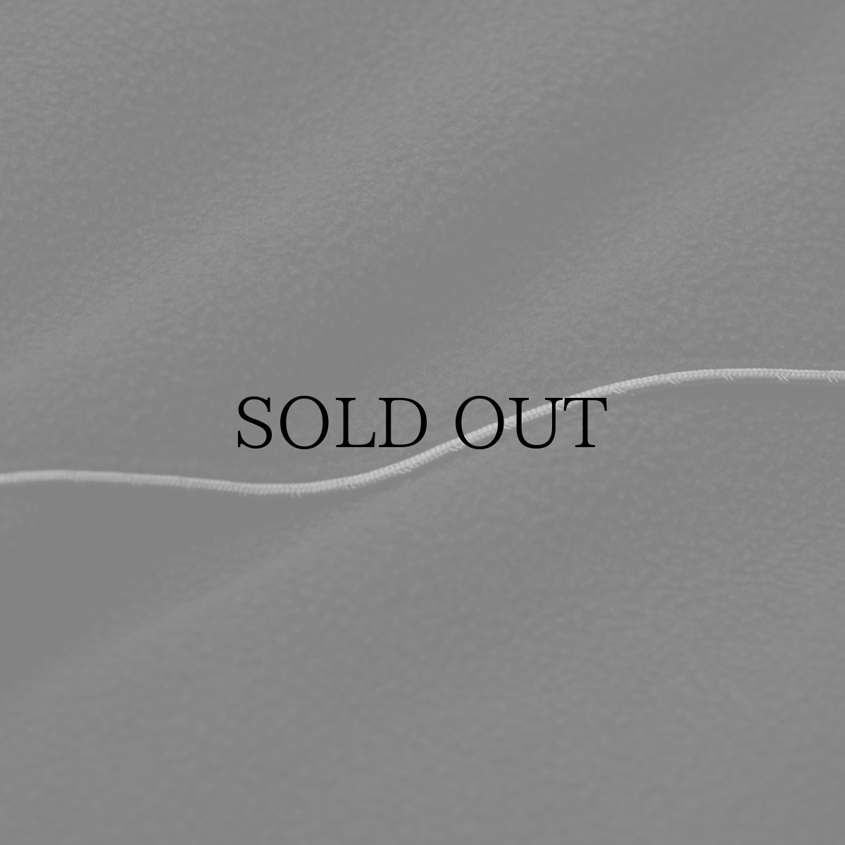 画像22: APPLEBUM(アップルバム) / Phisical Training Fleece Jacket (22)