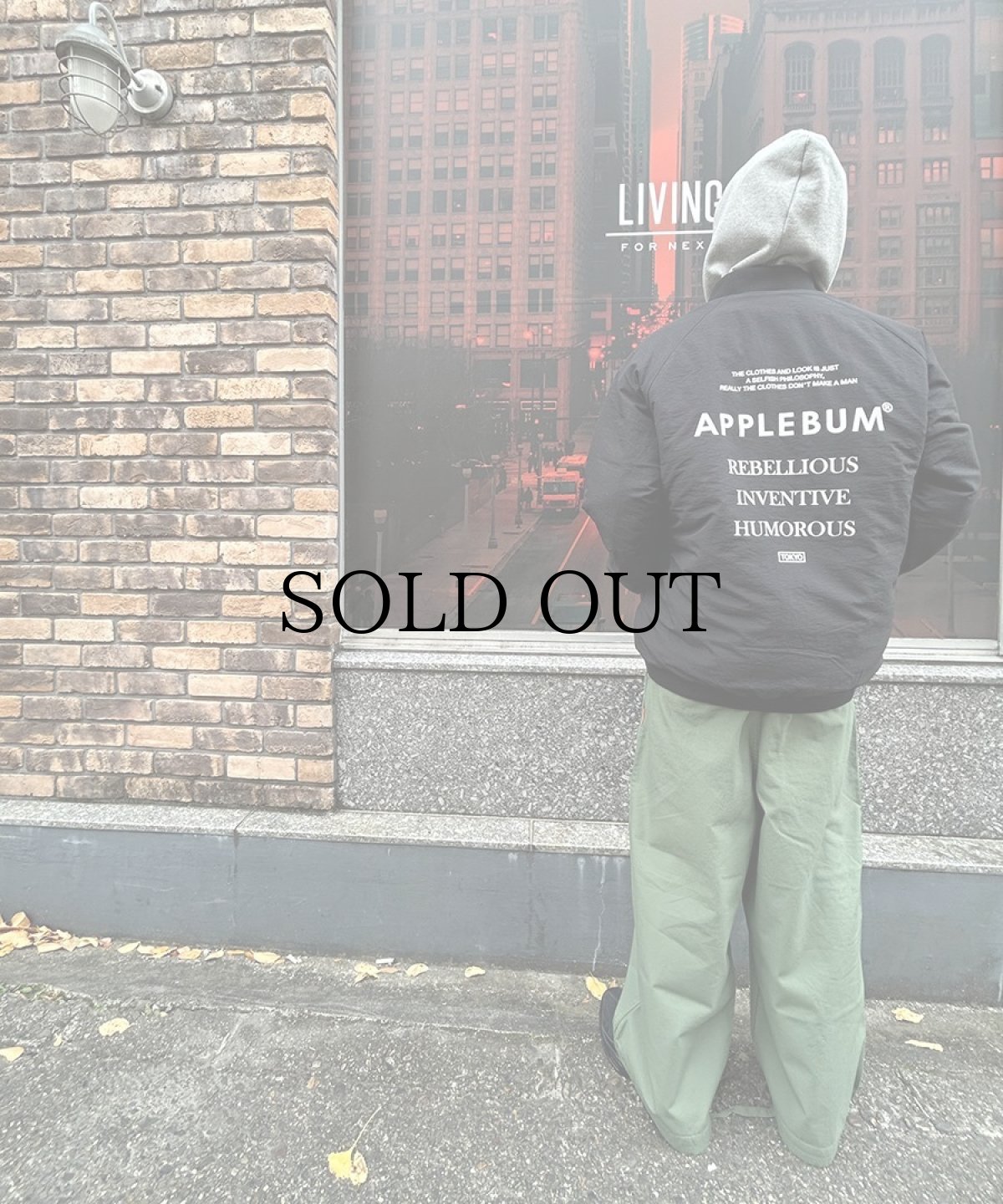 画像14: APPLEBUM(アップルバム) / Light MA-1 Jacket (14)