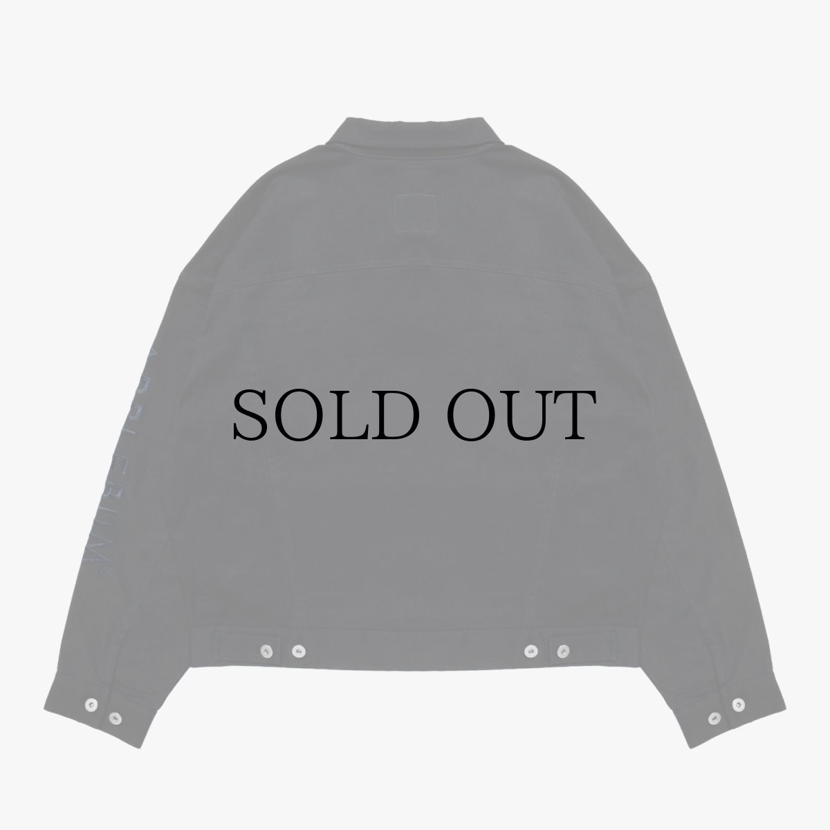 画像4: APPLEBUM(アップルバム) / Loose Color Stretch Jacket (4)