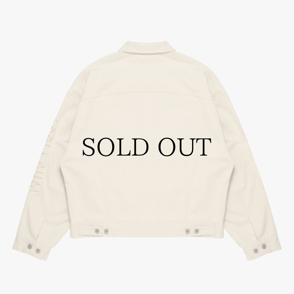 画像3: APPLEBUM(アップルバム) / Loose Color Stretch Jacket (3)