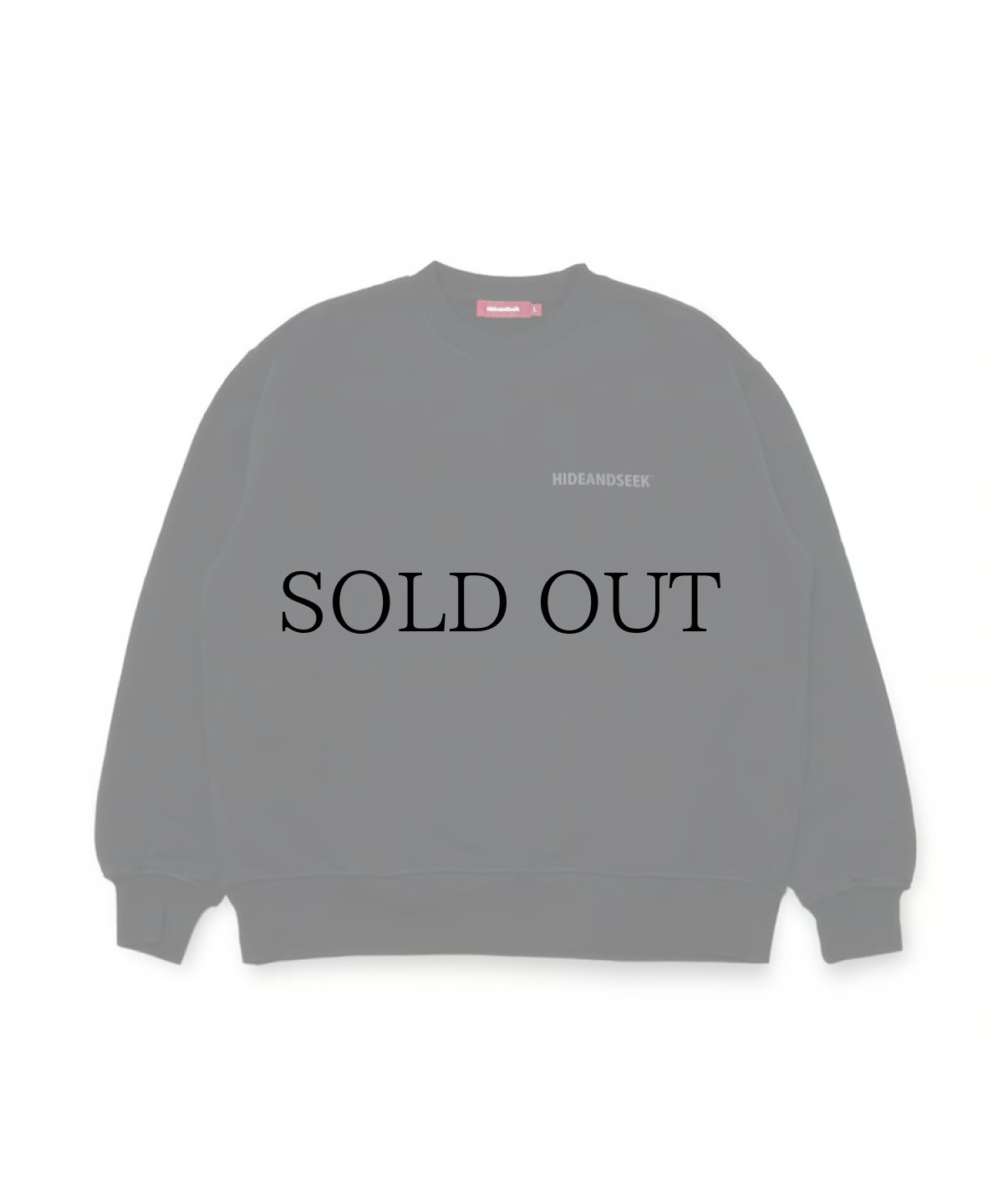 画像2: HIDEANDSEEK(ハイドアンドシーク) / H&S Sweat Shirt (2)