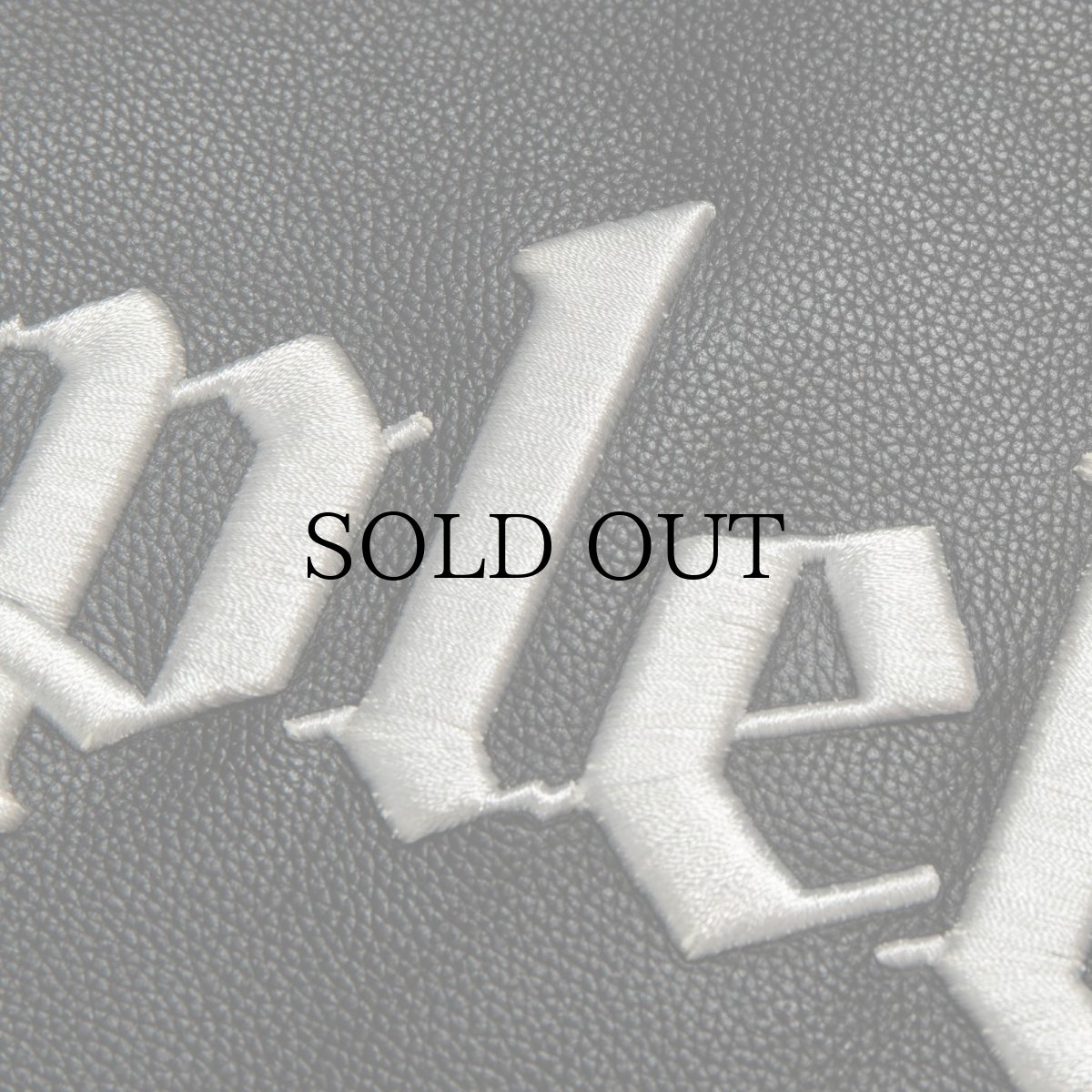 画像10: APPLEBUM(アップルバム) / All Leather Stadium Jacket (10)