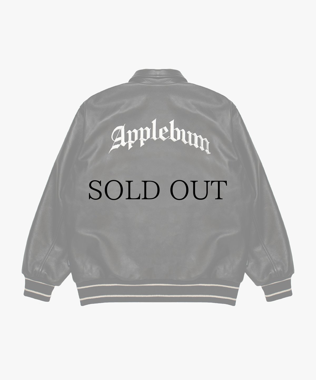 画像2: APPLEBUM(アップルバム) / All Leather Stadium Jacket (2)
