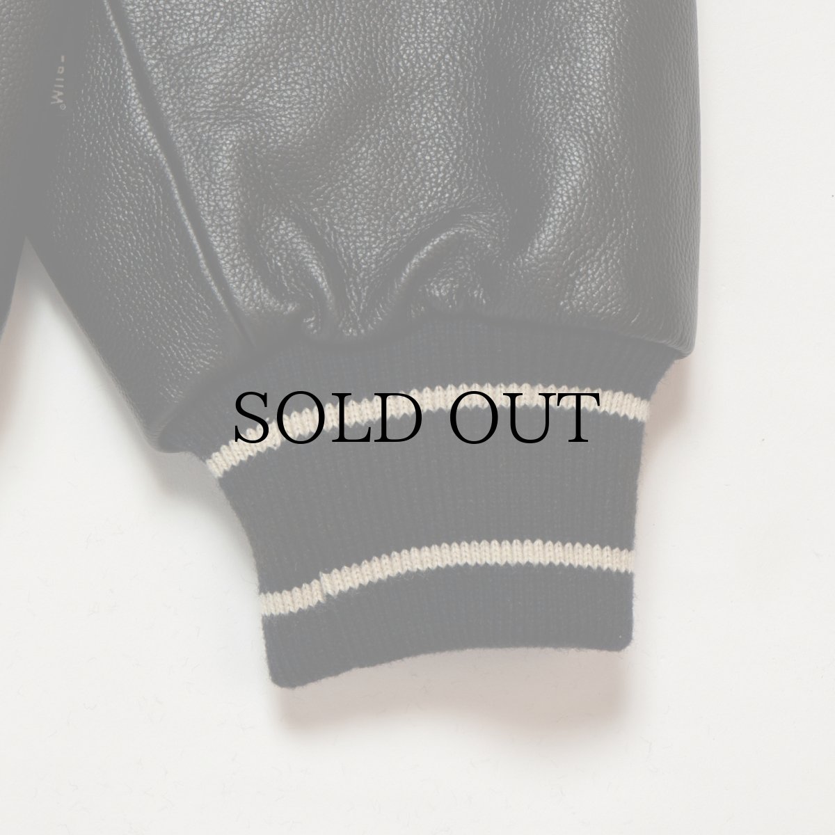 画像6: APPLEBUM(アップルバム) / All Leather Stadium Jacket (6)