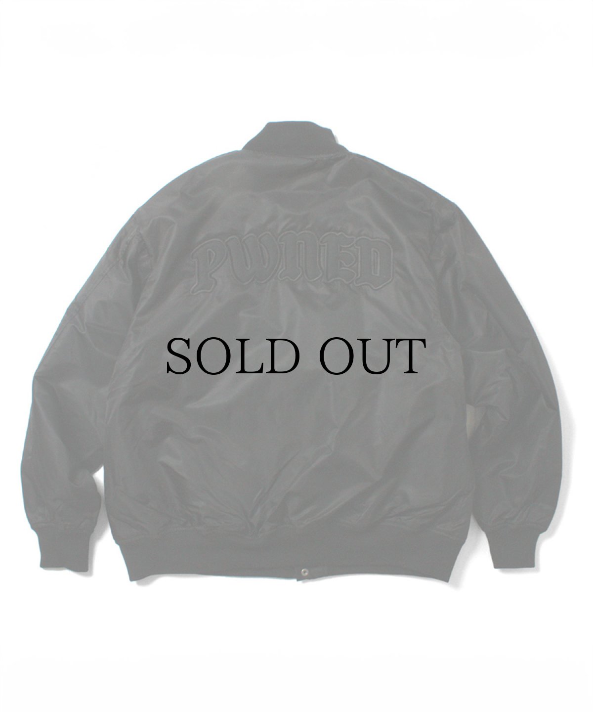 画像3: PWNED(パウンド) / PWNED TEAM JACKET (3)