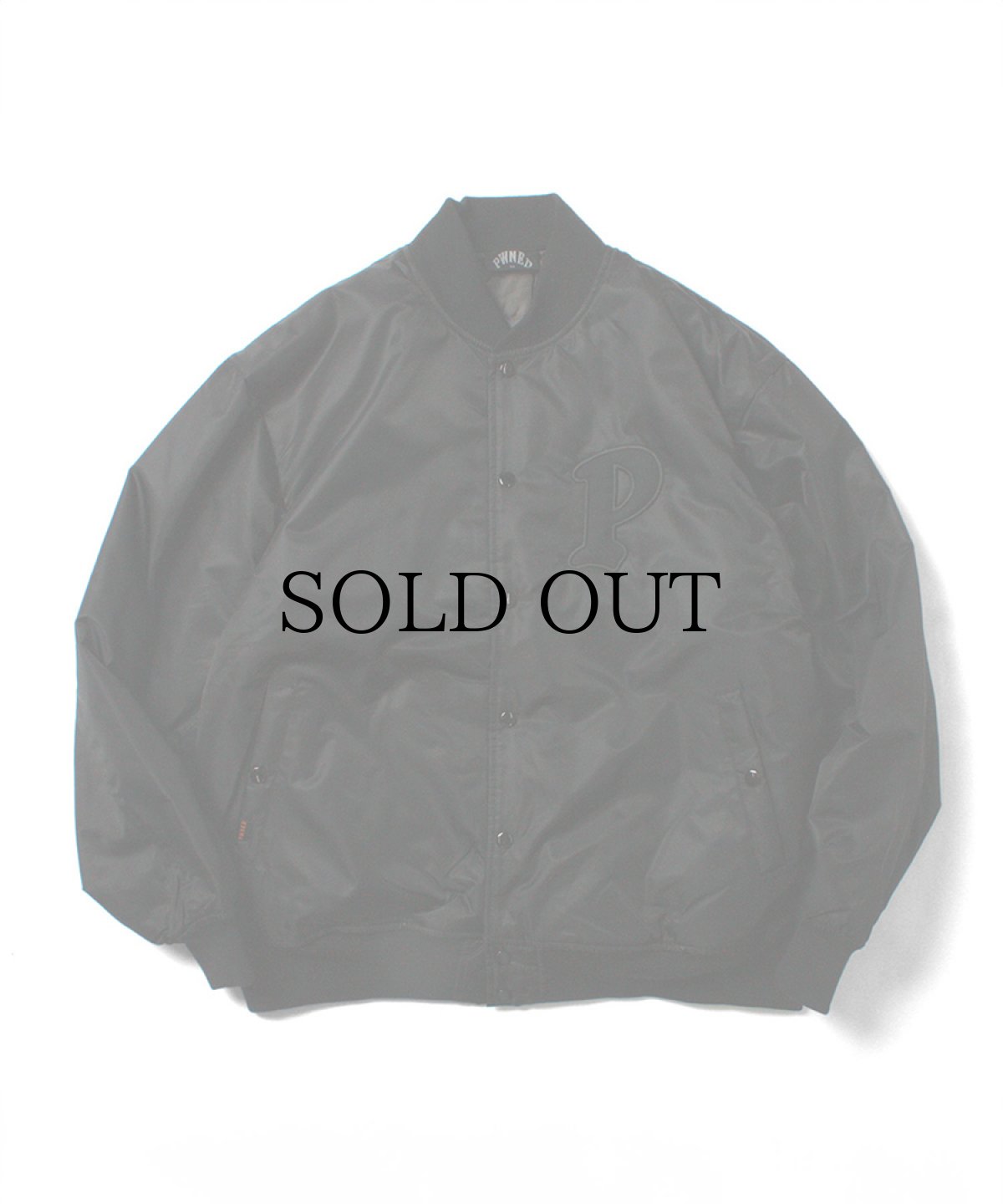 画像2: PWNED(パウンド) / PWNED TEAM JACKET (2)