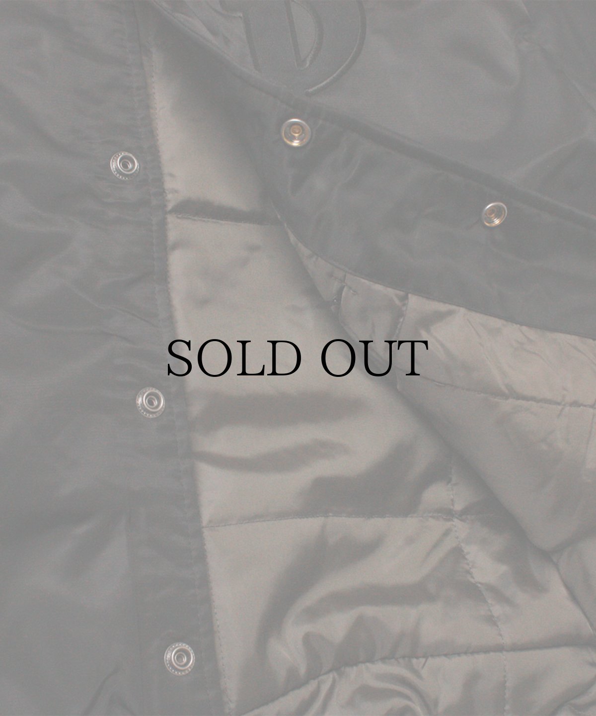 画像6: PWNED(パウンド) / PWNED TEAM JACKET (6)