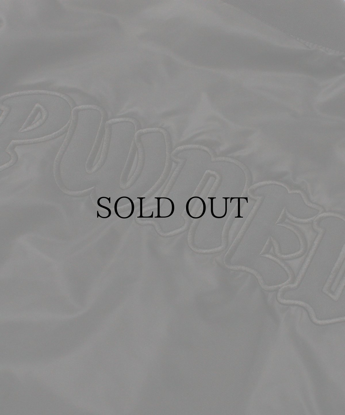 画像7: PWNED(パウンド) / PWNED TEAM JACKET (7)