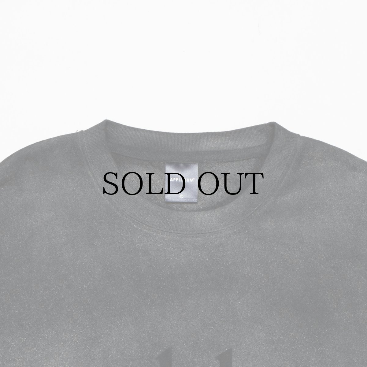 画像4: APPLEBUM(アップルバム) / Airbrush Crew Sweat (4)