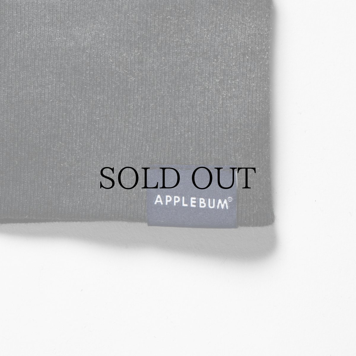 画像7: APPLEBUM(アップルバム) / Airbrush Crew Sweat (7)