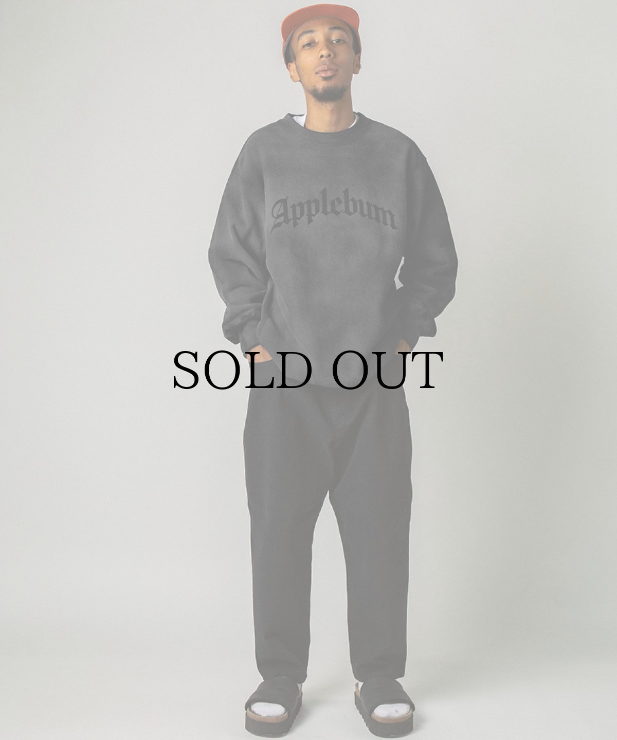 画像9: APPLEBUM(アップルバム) / Airbrush Crew Sweat (9)