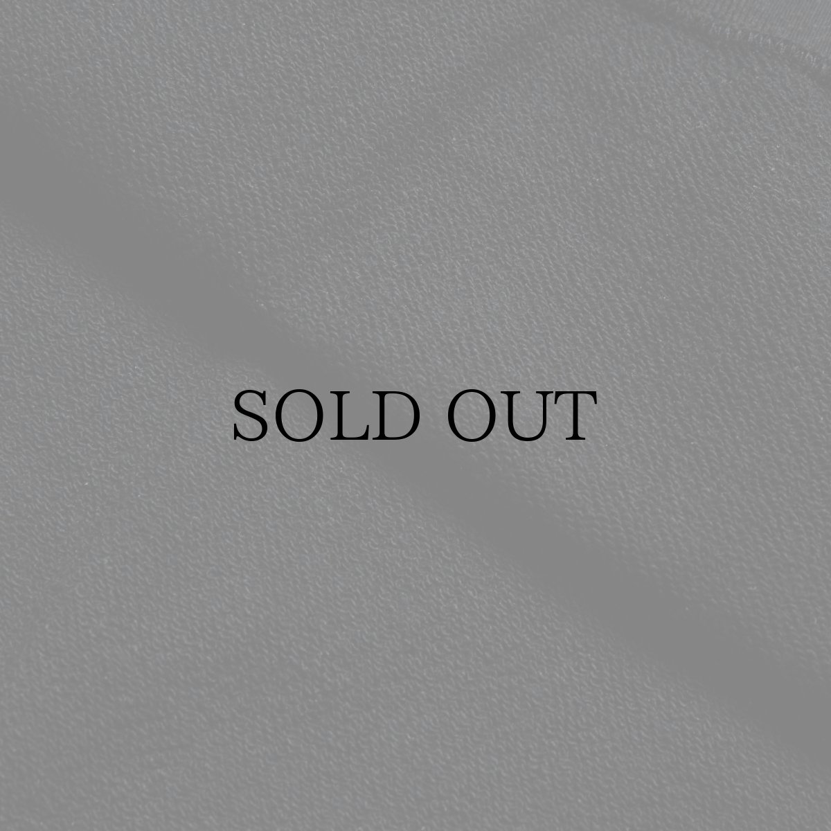 画像8: APPLEBUM(アップルバム) / Airbrush Crew Sweat (8)