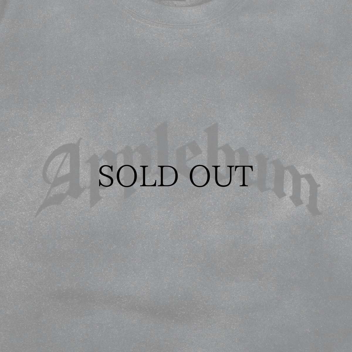 画像5: APPLEBUM(アップルバム) / Airbrush Crew Sweat (5)