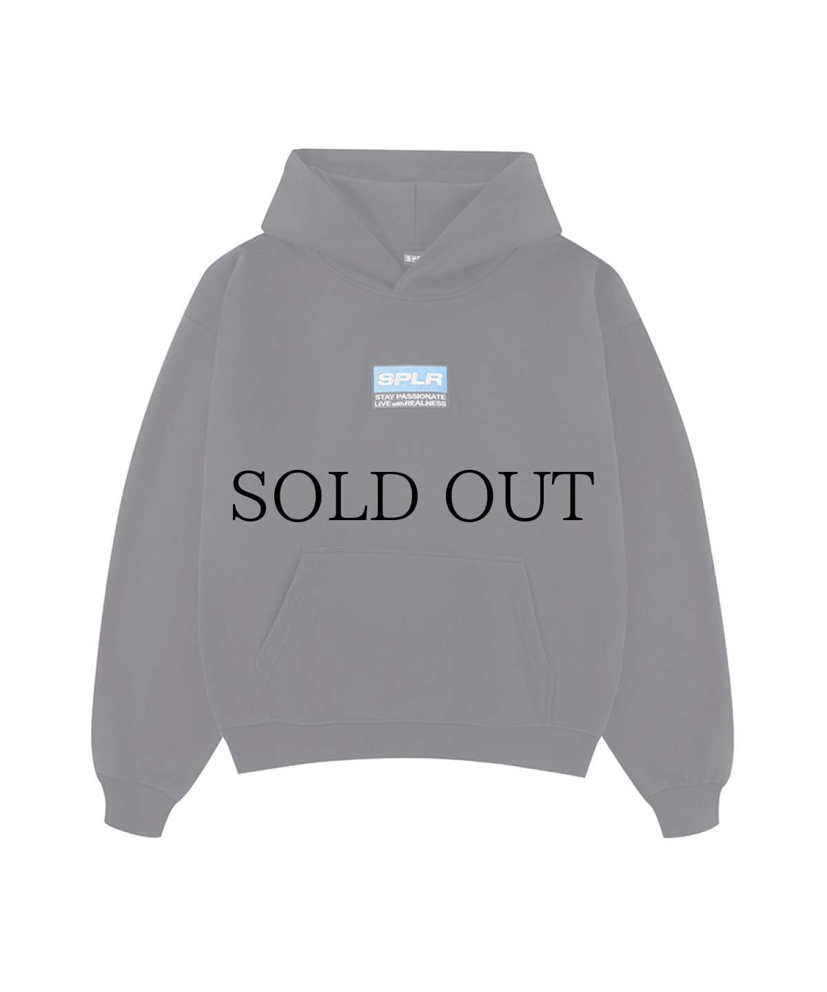 画像2: SPLR / Label Logo Hoodie (2)