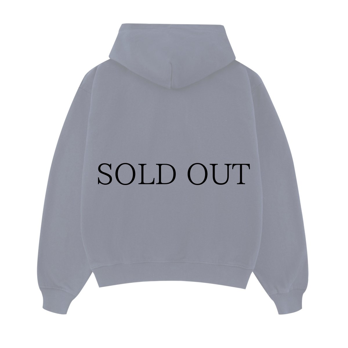 画像5: SPLR / Label Logo Hoodie (5)