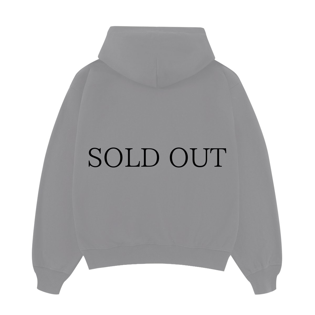 画像4: SPLR / Label Logo Hoodie (4)