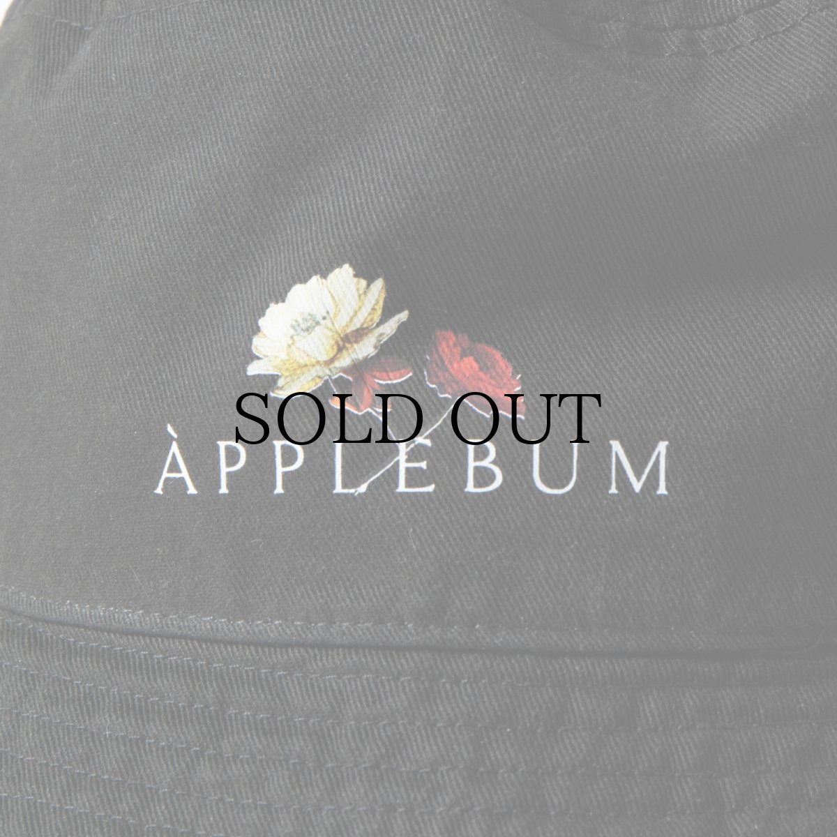 画像7: APPLEBUM(アップルバム) / ”Utopia” Logo Hat (7)