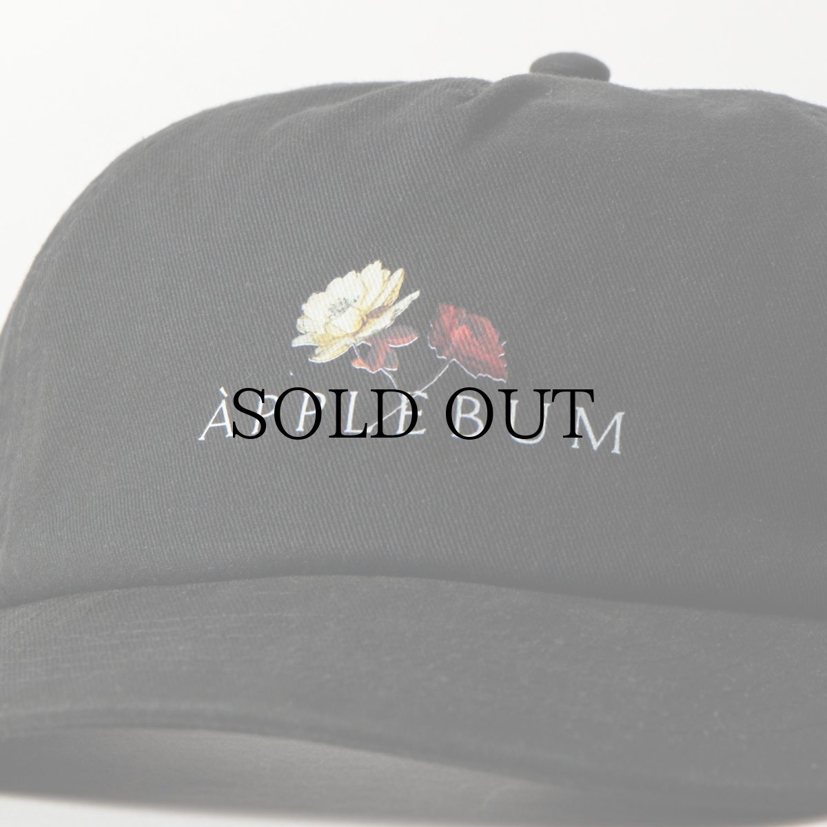 画像6: APPLEBUM(アップルバム) / “Utopia” Logo Cap (6)