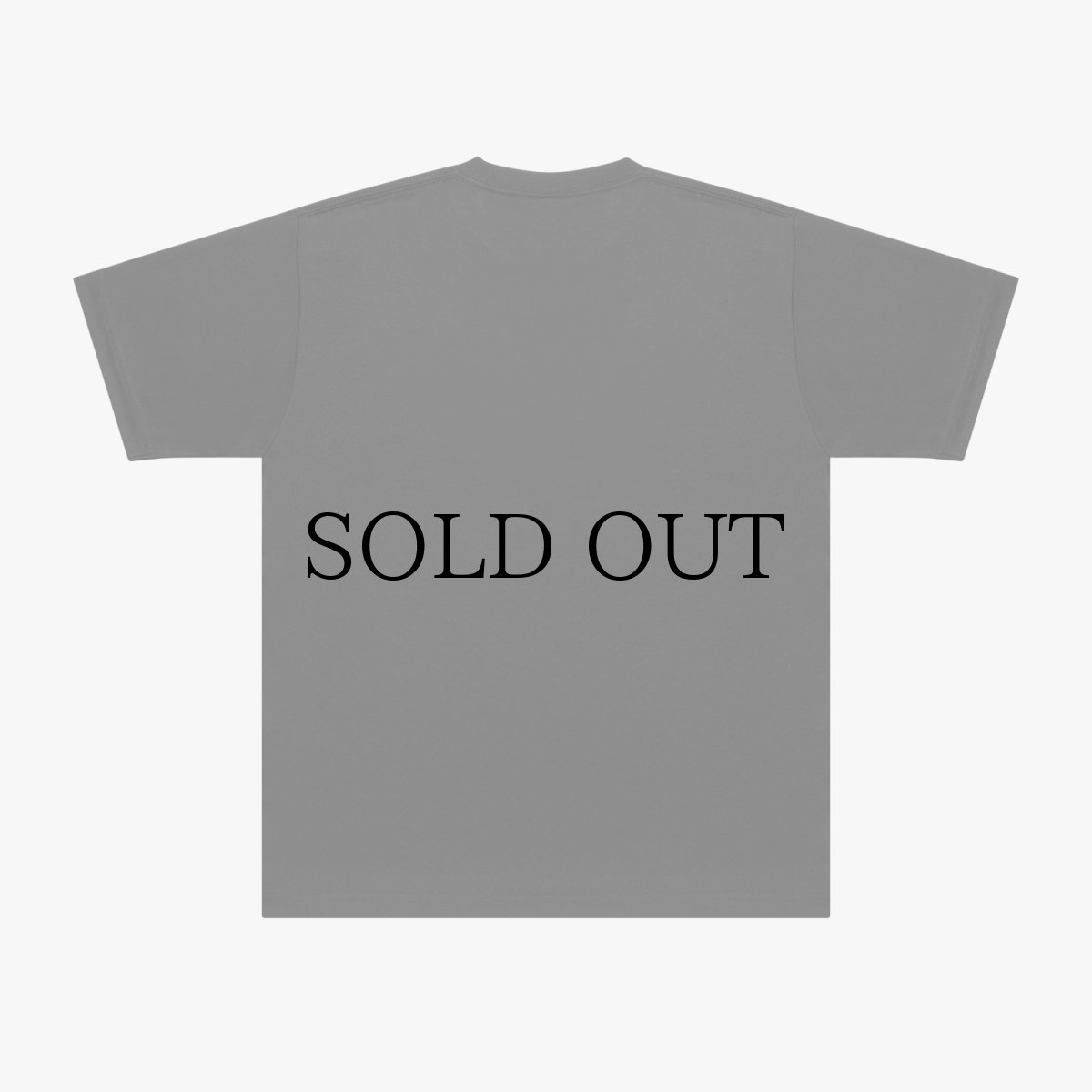 画像7: APPLEBUM(アップルバム) / “Six Million” Dry T-shirt [Show & Prove] (7)