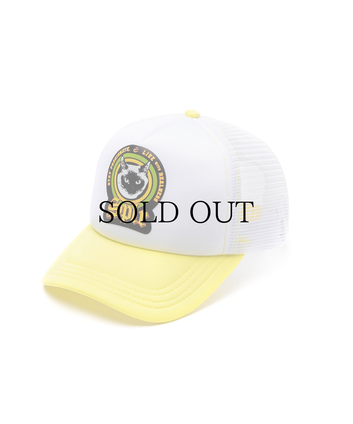 画像1: SPLR / Cat Mesh Cap (1)