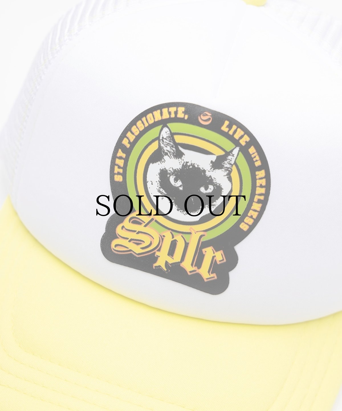 画像2: SPLR / Cat Mesh Cap (2)